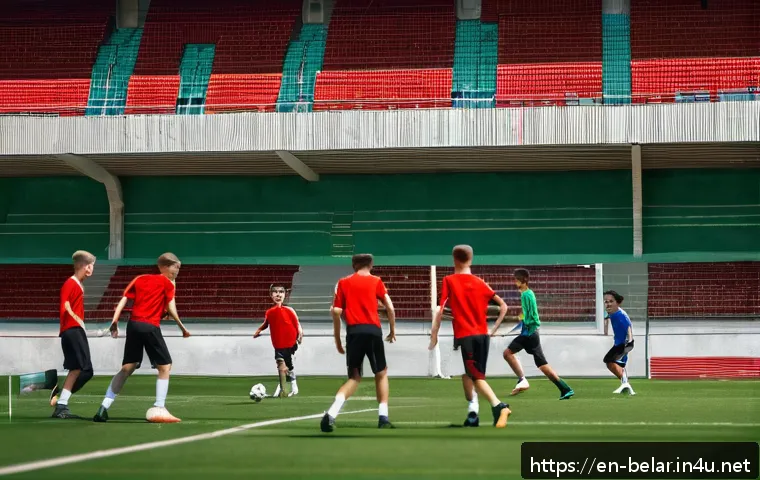 벨라루스 축구 리그 소개 관련 이미지 1